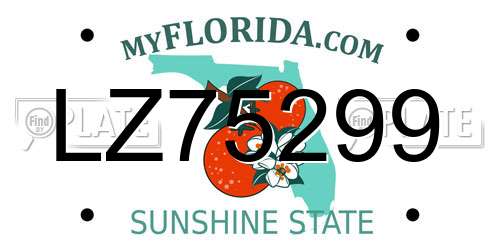 LZ75299 Florida License Plate