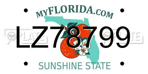LZ78799 Florida License Plate