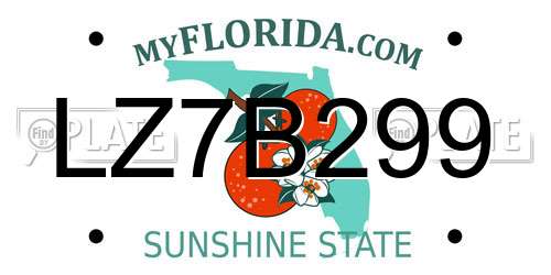 LZ7B299 Florida License Plate