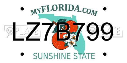 LZ7B799 Florida License Plate