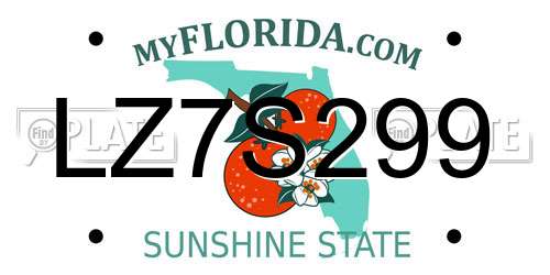 LZ7S299 Florida License Plate