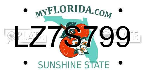 LZ7S799 Florida License Plate