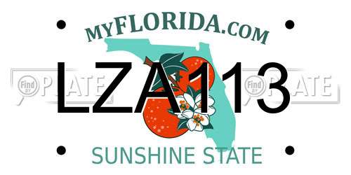 LZA113 Florida License Plate