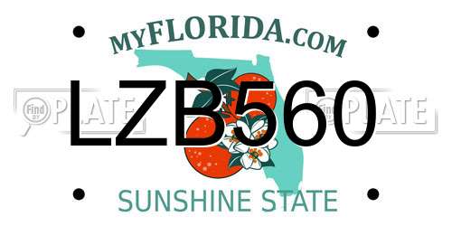 LZB560 Florida License Plate