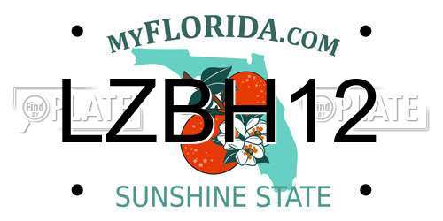 LZBH12 Florida License Plate