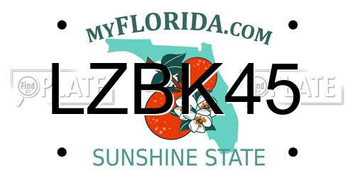 LZBK45 Florida License Plate