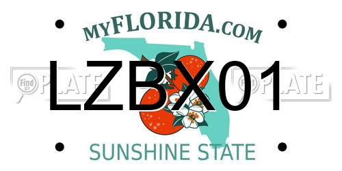 LZBX01 Florida License Plate
