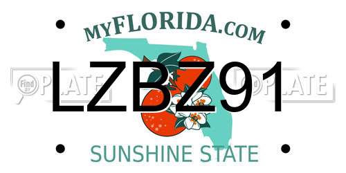 LZBZ91 Florida License Plate