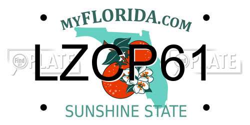 LZCP61 Florida License Plate