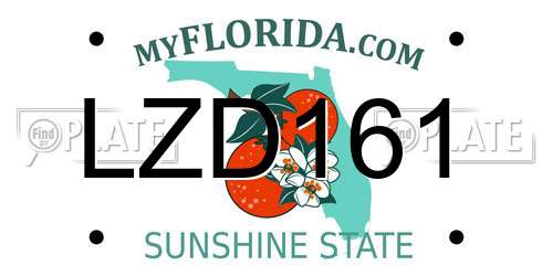 LZD161 Florida License Plate