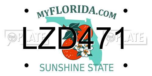 LZD471 Florida License Plate