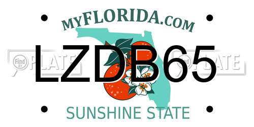 LZDB65 Florida License Plate
