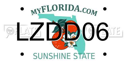 LZDD06 Florida License Plate