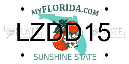 LZDD15 Florida License Plate