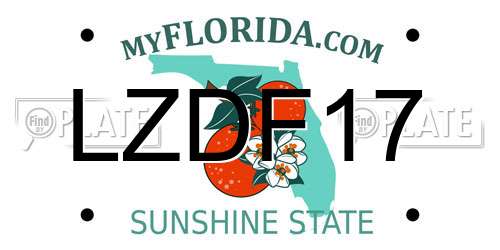 LZDF17 Florida License Plate