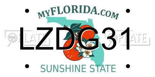 LZDG31 Florida License Plate