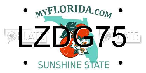 LZDG75 Florida License Plate