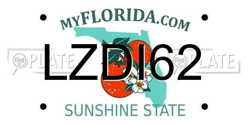 LZDI62 Florida License Plate