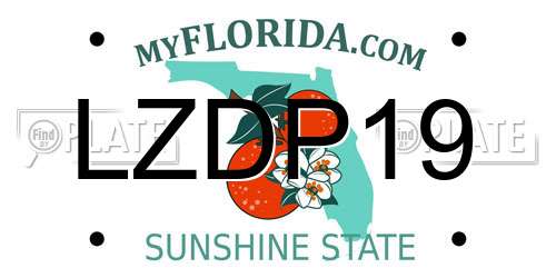 LZDP19 Florida License Plate