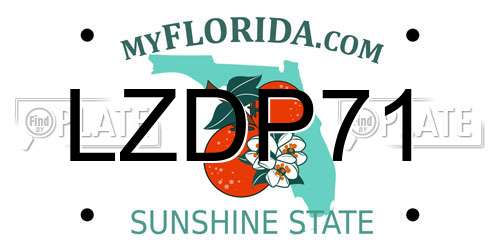 LZDP71 Florida License Plate