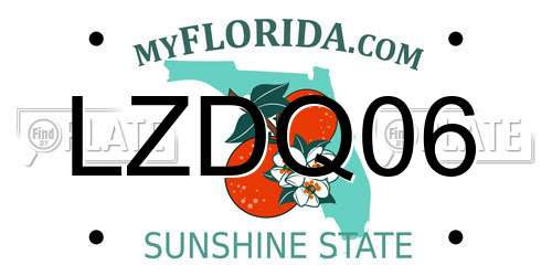LZDQ06 Florida License Plate