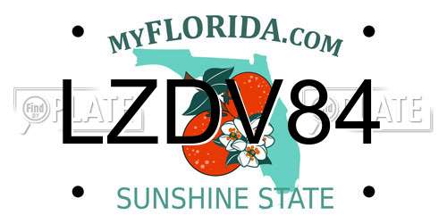 LZDV84 Florida License Plate