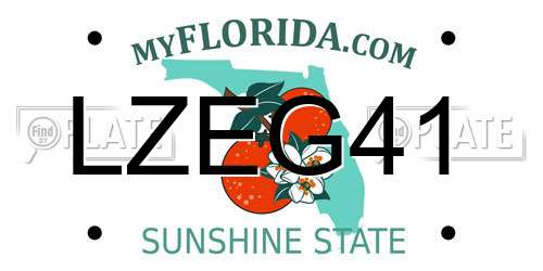 LZEG41 Florida License Plate
