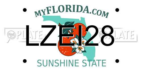 LZEI28 Florida License Plate