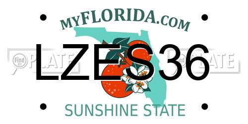 LZES36 Florida License Plate