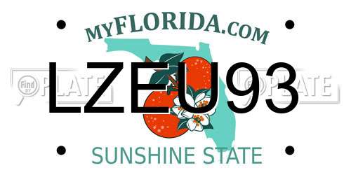 LZEU93 Florida License Plate