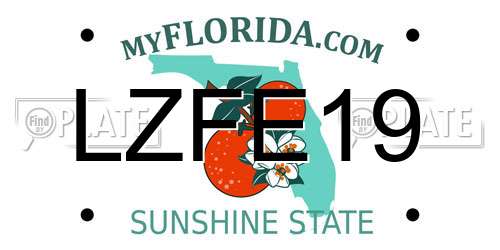LZFE19 Florida License Plate
