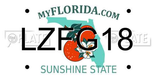 LZFG18 Florida License Plate