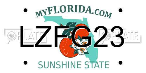 LZFG23 Florida License Plate