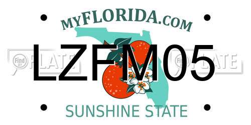LZFM05 Florida License Plate