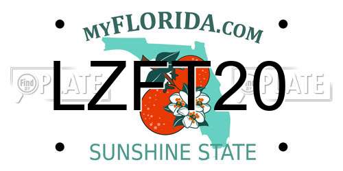 LZFT20 Florida License Plate