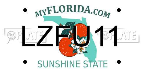LZFU11 Florida License Plate
