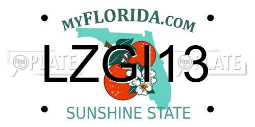 LZGI13 Florida License Plate