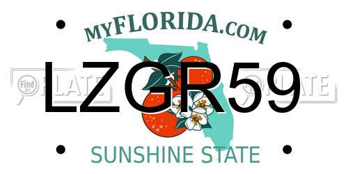 LZGR59 Florida License Plate
