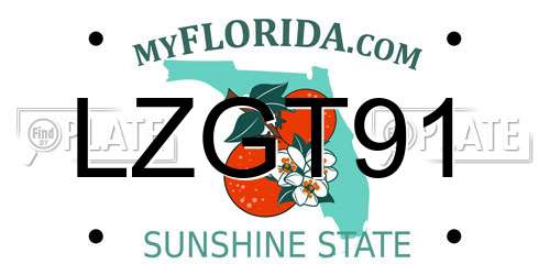 LZGT91 Florida License Plate