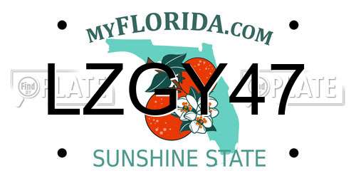 LZGY47 Florida License Plate