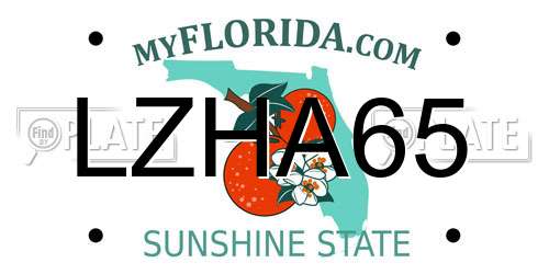 LZHA65 Florida License Plate
