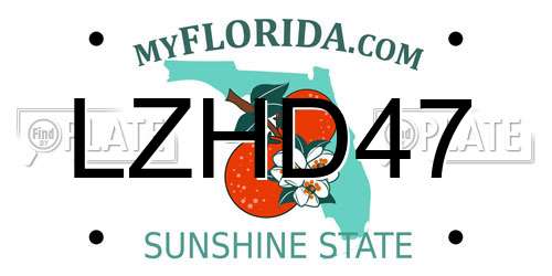 LZHD47 Florida License Plate