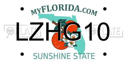 LZHG10 Florida License Plate