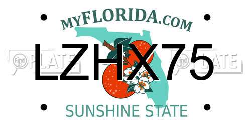 LZHX75 Florida License Plate