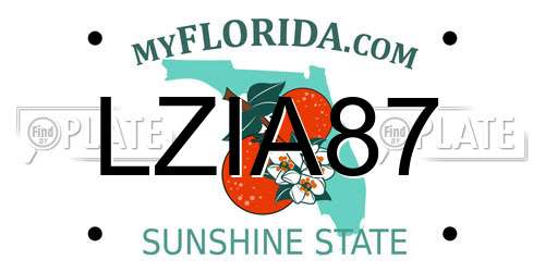 LZIA87 Florida License Plate