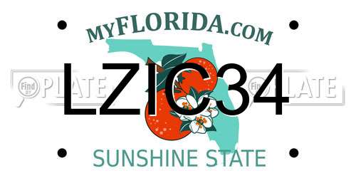 LZIC34 Florida License Plate