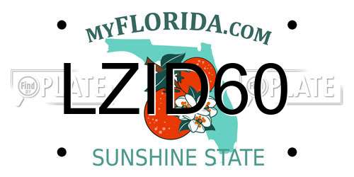 LZID60 Florida License Plate