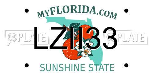 LZII33 Florida License Plate