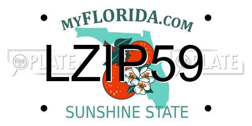 LZIP59 Florida License Plate