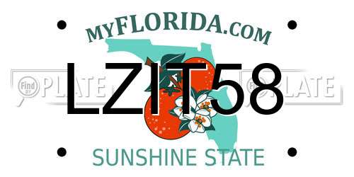 LZIT58 Florida License Plate